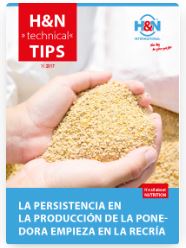 la persistencia en produccion f